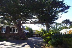 Lighthouse Lodge Cottages Pacific Grove Ca